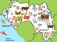 conakry_guinee_agriculture_carte31